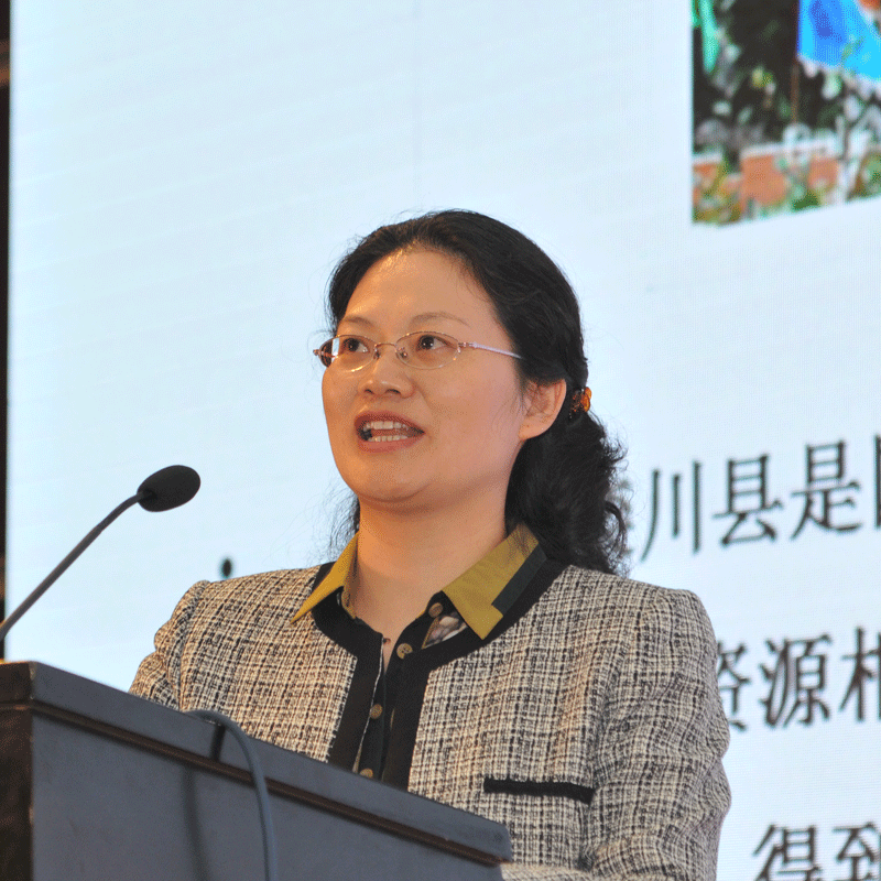 娄丹